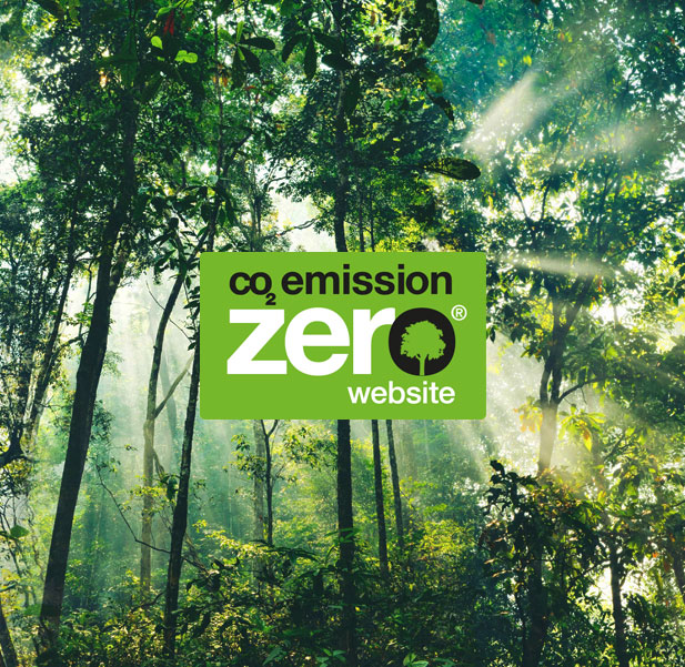 TIM Group websites carbon offsetting 