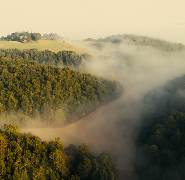 Gestione forestale sostenibile