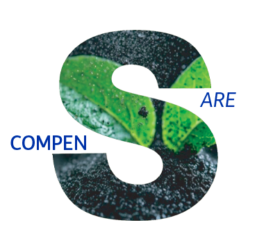 Emissioni di gas serra compensate per i siti di Gruppo 