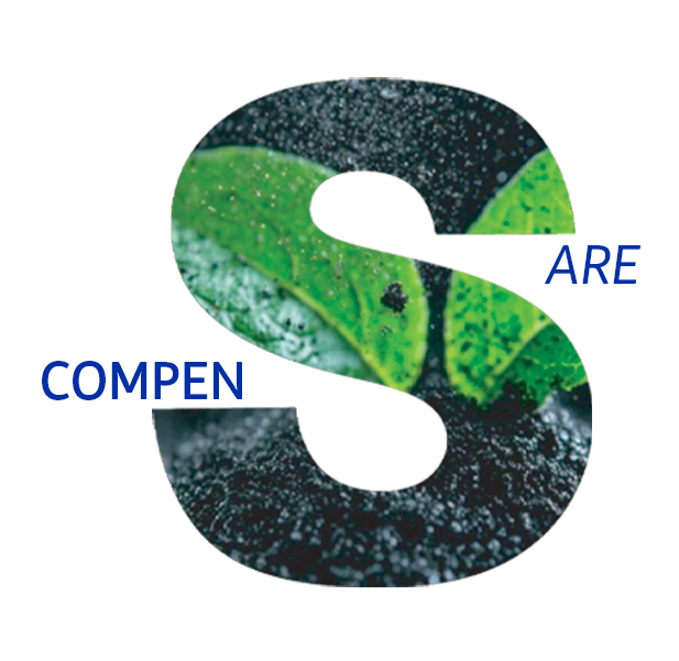 Anche i nostri siti web generano emissioni, per questo investiamo in crediti di carbonio 