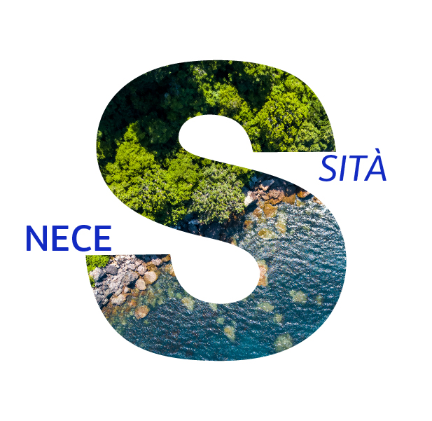 Anche i nostri siti web generano emissioni, per questo investiamo in crediti di carbonio 