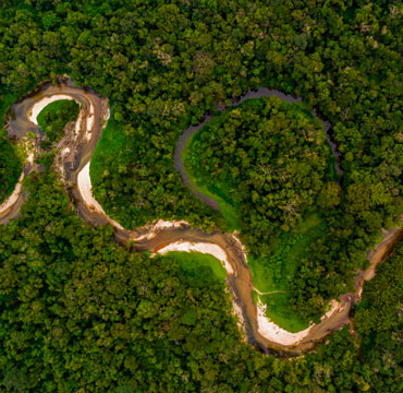 We offset CO2 emissions with projects in the Amazon Rainforest.
