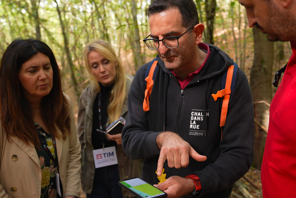 Gestione forestale sostenibile