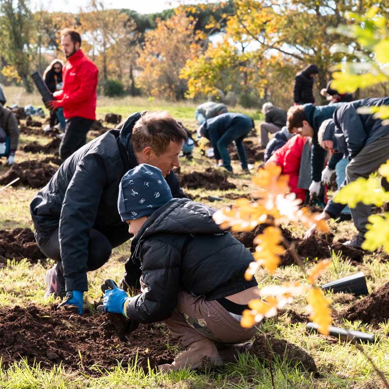 Forestazione al Parco Aguzzano di Roma