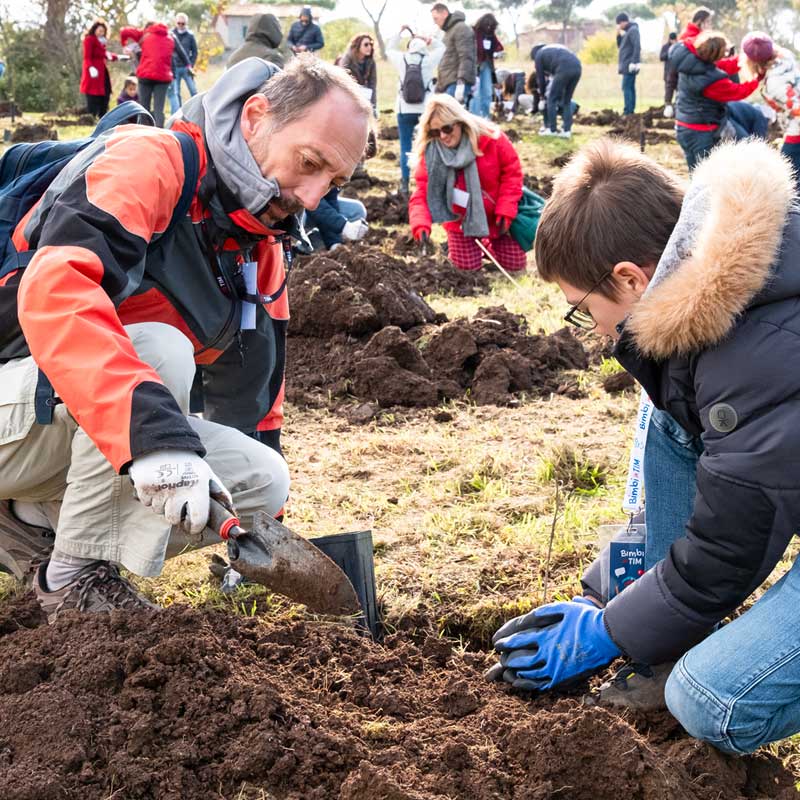 Forestazione al Parco Aguzzano di Roma