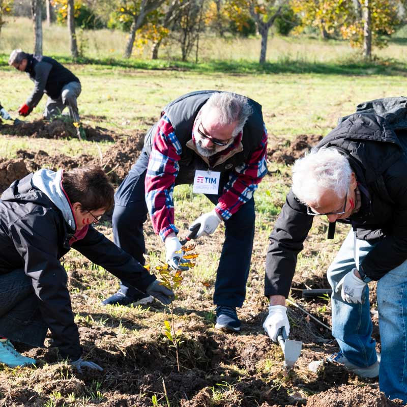 Forestazione al Parco Aguzzano di Roma