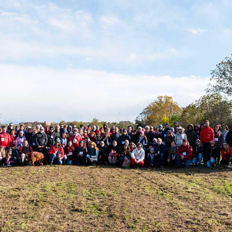 Forestazione al Parco Aguzzano di Roma