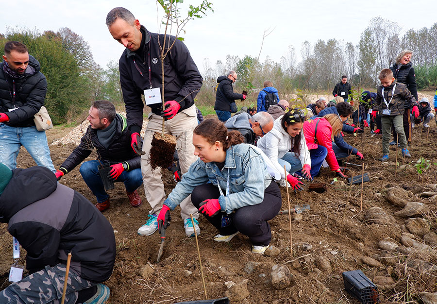 Forestry at the Stura Sud Park in Turin