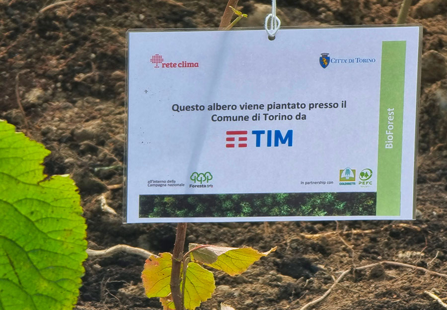 Forestry at the Stura Sud Park in Turin