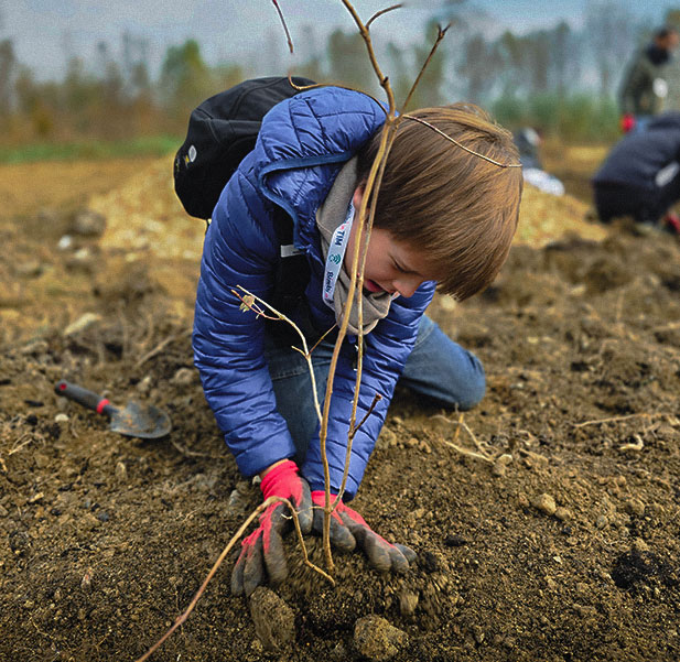 540 nuovi alberi al Parco Aguzzano di Roma