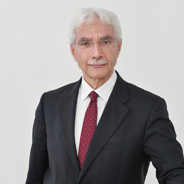 Salvatore Rossi - Presidente TIM